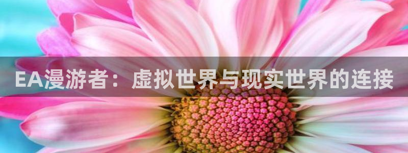 78动漫app官方正版下载