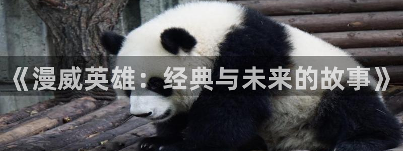 78动漫免费观看